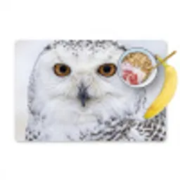Sneeuwuil - Oog - Wildlife - Wit Placemat vinyl groot -zzzproduct_Kitchenyeah-website