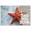 Sea you soon - Zeester - Zee poster papier klein -3d