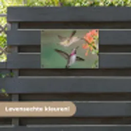 Kolibries bij Bloemen tuinposter los doek klein -sfeer3