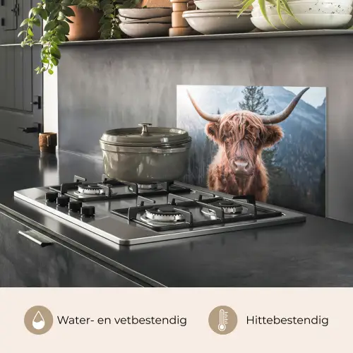 Schotse hooglander - Koe - Dieren - Berg - Natuur keuken achterwand spatscherm klein -usp_NL