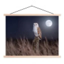 Kerkuil - Maan - Nacht textielposter latten blank klein -3d