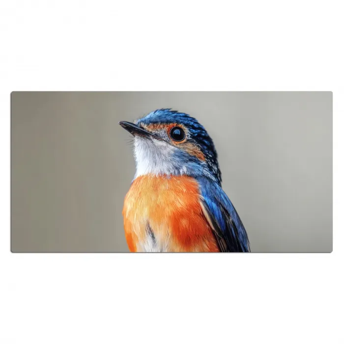 Kleurrijk - Vogeltje - Veren - Blauw Muismat XXL klein -3d_leeg