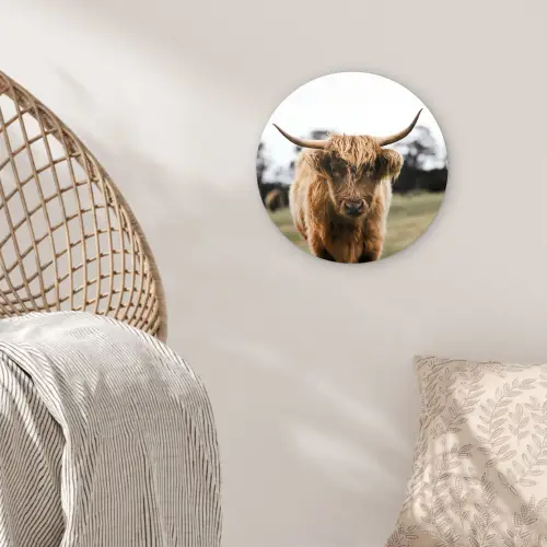 Schotse Hooglander -  Koe - Gras - Dieren - Natuur Wandcirkel kunststof plaat 5mm dik klein -sfeer5