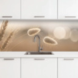 Hazestaartgras - Graanharen - Zonlicht keuken achterwand 2 middel -3d