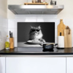 Langharige kat - Zonnebril - Spaghetti - Humor - Zwart - wit Inductie beschemer met haakjes klein -sfeer2