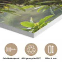 Toekan - Jungle - Natuur - Kleurrijk PET vilt klein -closeup_NL