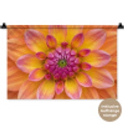 Dahlia - Bloem - Oranje Wandkleed katoen klein -t3d_DE