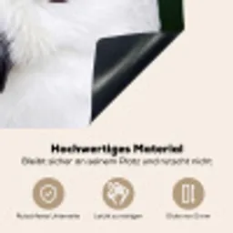 Sneeuwuil - Portret - Geel Inductie beschemer met haakjes klein -ky-onderkant-de
