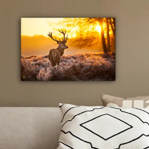 Hert - Dieren - Zonsondergang - Winter - Heide - Natuur canvas 2cm klein -sfeer3