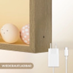 Eieren -  Konijn - Pasteltinten Light Box met batterij (Wandlamp) middel -USP_websiteoplaadbaarDE