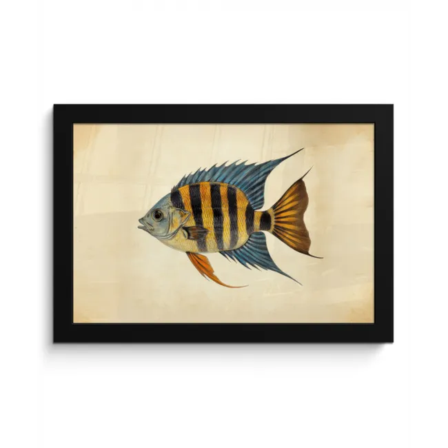 Vis - Tropisch - Strepen - Vinnen fotolijst zwart zonder passe partout klein -3d