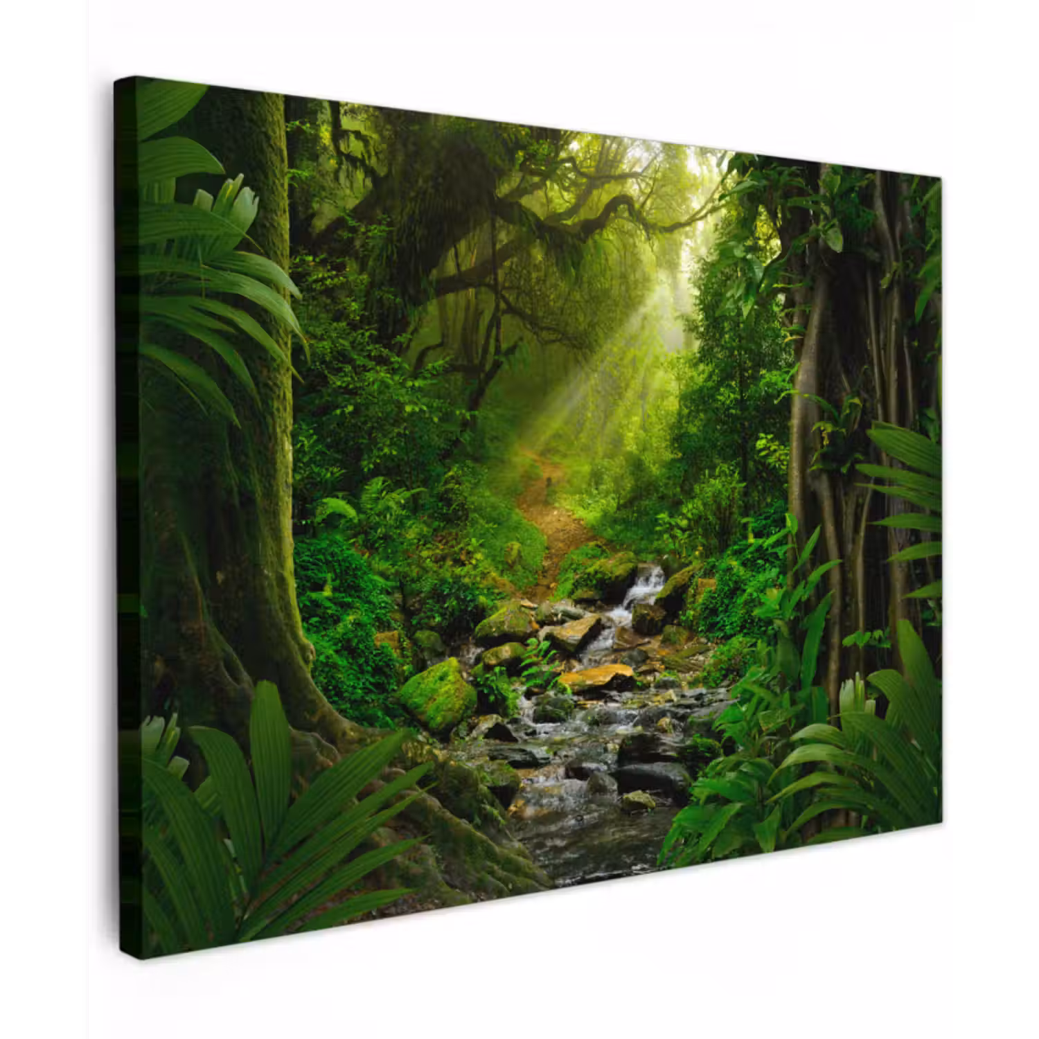 Canvas schilderij - Jungle - Water - Bladeren - Zon - Natuur