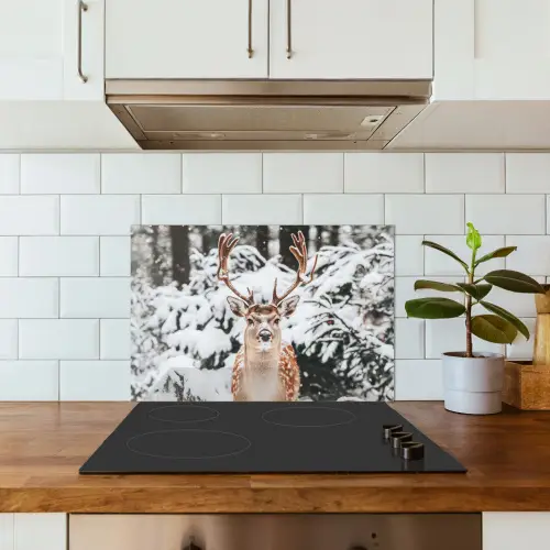 Hert - Sneeuw - Winter - Bos - Dieren keuken achterwand spatscherm klein -sfeer2