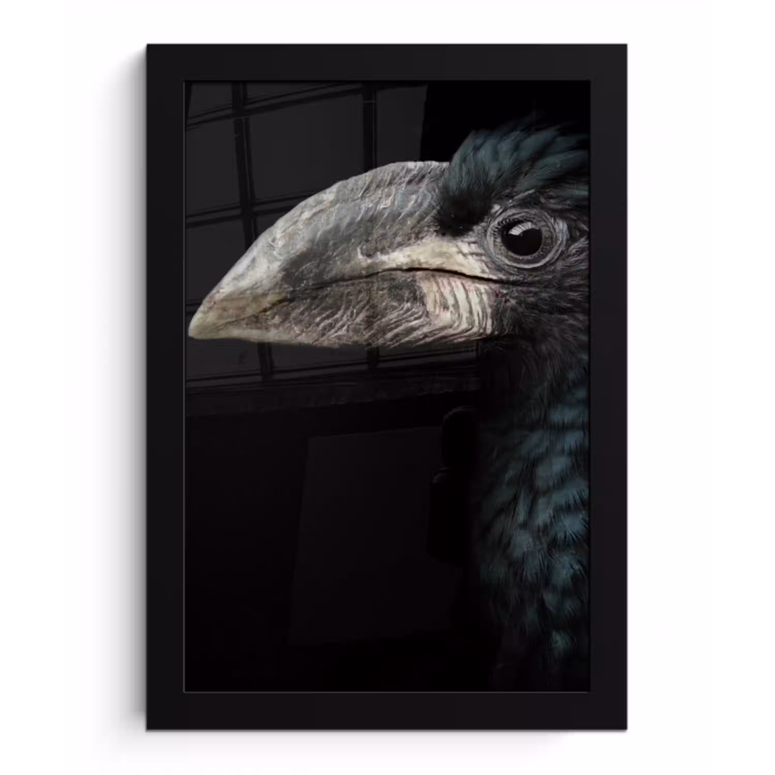 Vogel - Portret - Neushoornvogel - Zwart - Dieren fotolijst zwart zonder passe partout klein -3d