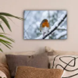 Roodborstje - Tak - Sneeuw - Winter - Levendig canvas 2cm klein -sfeer1