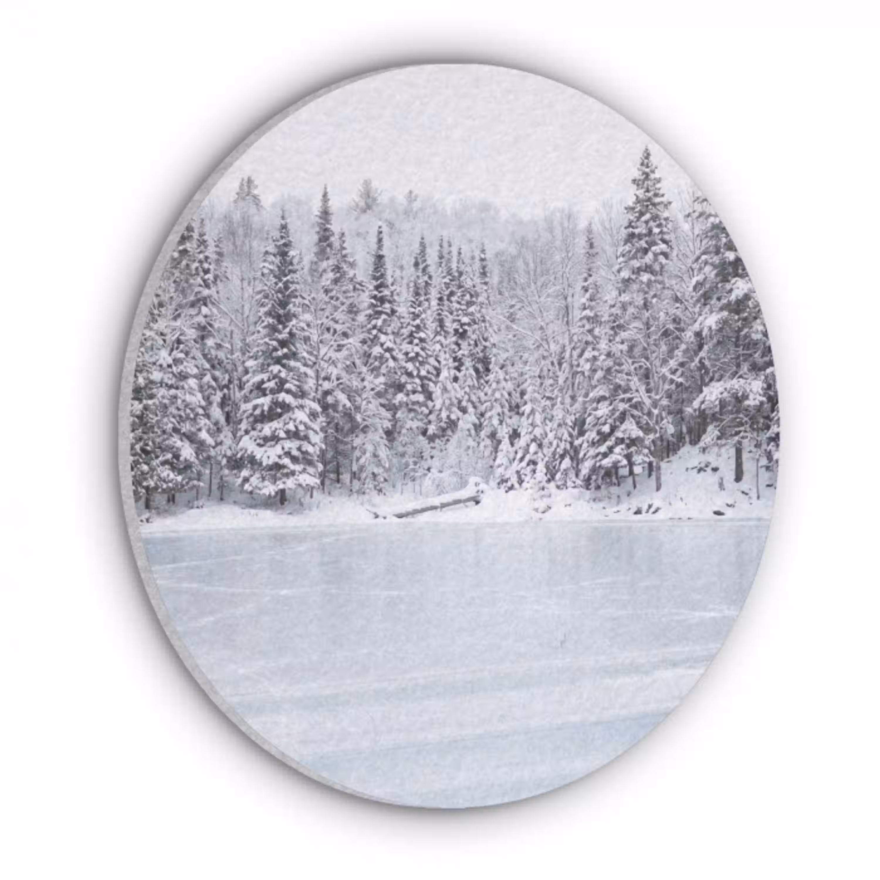 Meer - Dennen - IJs - Winter - Rustgevend Akoestische PET Vilt - Rond klein -3d