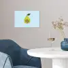 Avocado - Illustratie - Groene - Vrucht poster papier klein -sfeer3