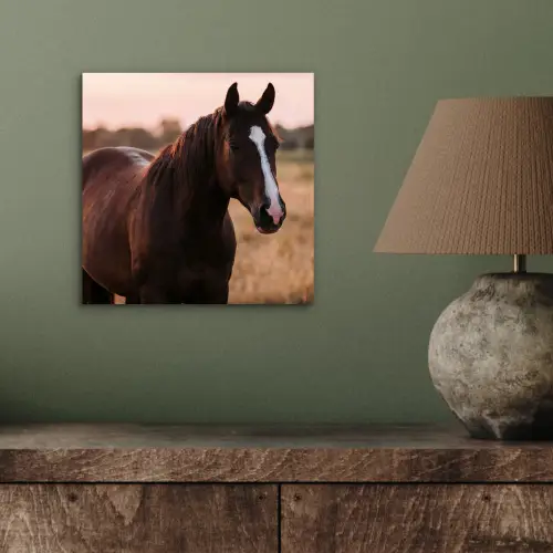 Paard - Zonsondergang - Bruin aluminium wit klein -sfeer2