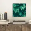 Monstera - Bladeren - Planten - Jungle - Natuur aluminium wit klein -sfeer1
