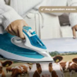 Koeien - Portret - Weide - Boerderij - Nieuwsgierig Wandkleed katoen middel -sfeer9