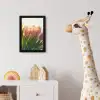 Tulpen - Roze - Zonnestralen fotolijst zwart zonder passe partout klein -usfeer4_kinderkamer