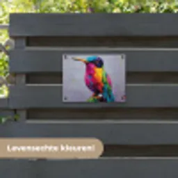 Kolibrie - Vogel - Regenboogkleuren - Verfstreken tuinposter los doek klein -sfeer3