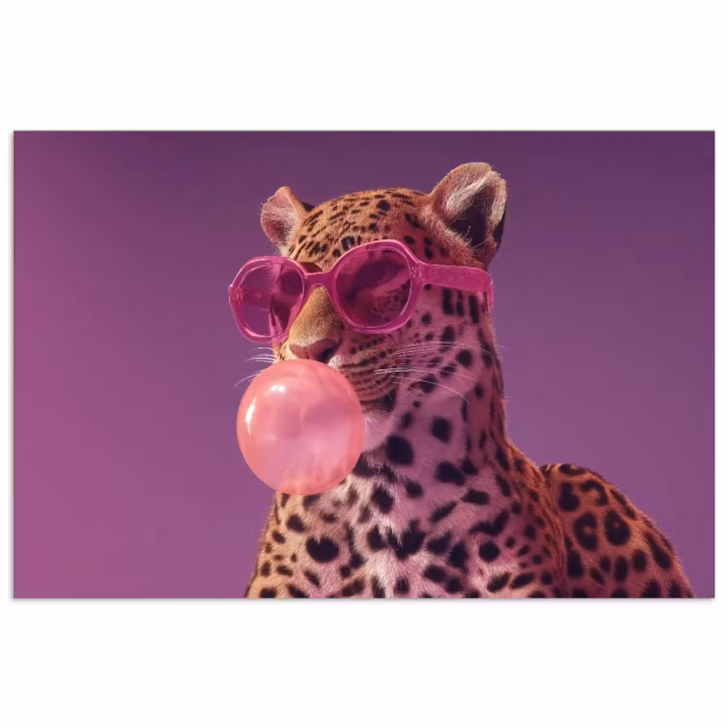 Poster - Panther - Sonnenbrille - Kaugummiblase - Rosa