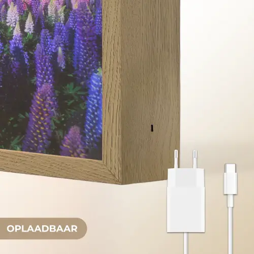 Bloemen - Nacht - Lupine - Sterrenhemel - Paars - Natuur Light Box met batterij (Wandlamp) middel -USP_websiteoplaadbaarNL