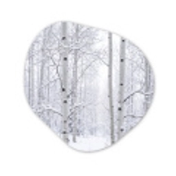 Berkenbomen - Sneeuw - Winter - Bos - Wit Wandcirkel Organisch Aluminium middel -3d