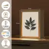 Laurierbladeren - Bloemknoppen - subtiel Light Box met kabel (Tafellamp) klein -USP_NL