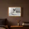 Kat - Siamees - Zwart Wit - Schattig - Dieren Light Box met batterij (Wandlamp) middel -sfeer4