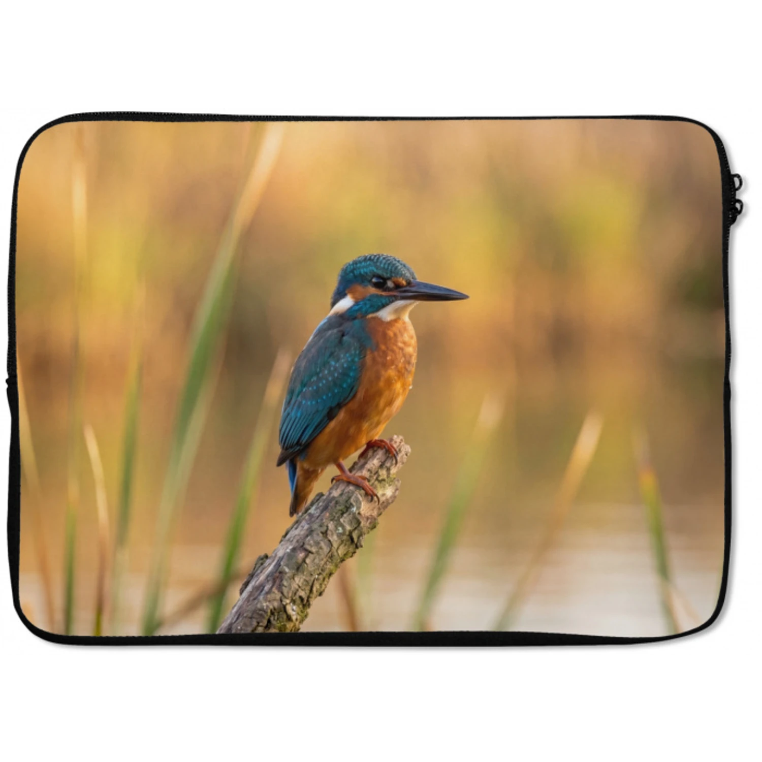 IJsvogel - Tak - Water - Kleurrijk - Levendig laptophoes neopreen klein -zkaufland3dotto