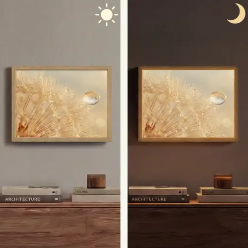 Paardenbloem - Water - Natuur - Planten - Modern Light Box met batterij (Wandlamp) middel -sfeer3