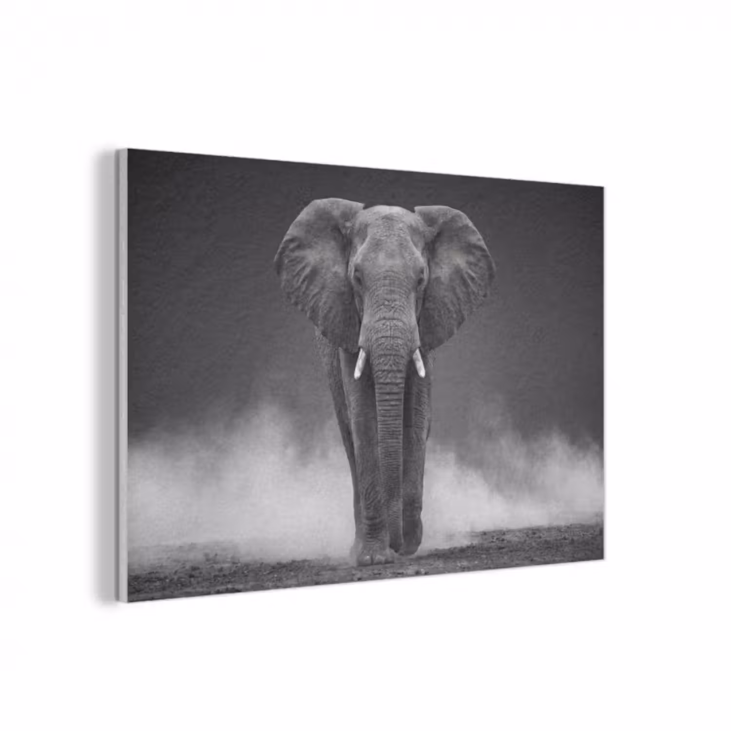 Akustikbild - Elefant - Schwarz - Weiß - Rauch
