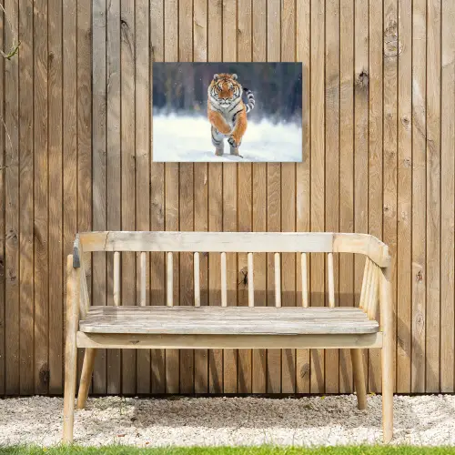 Tijger - Landschap - Sneeuw - Winter - Dieren Tuinposter op houten frame 2 cm dik klein -sfeer4