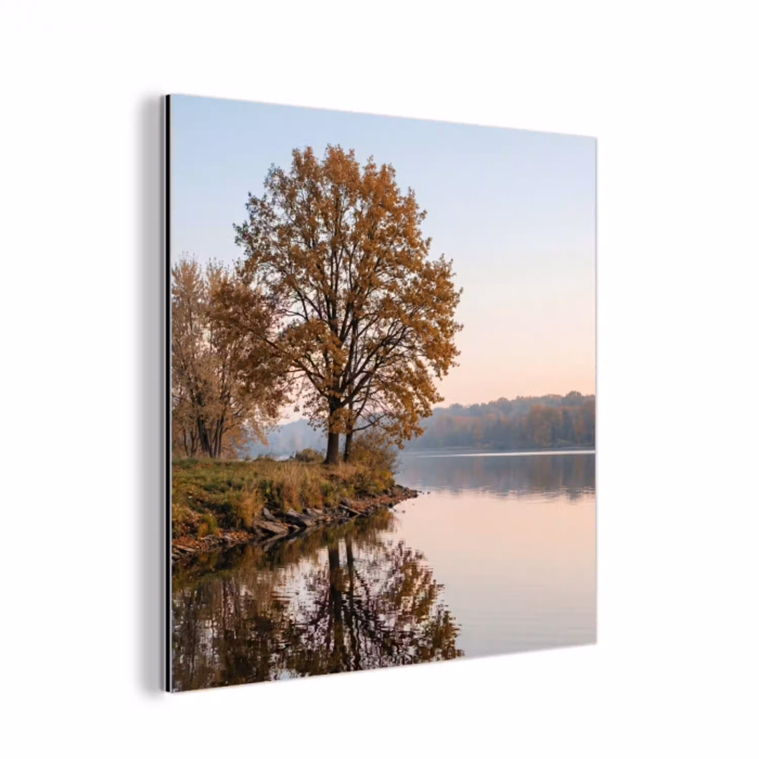 Bomen - Reflectie - Water - Zonsopgang - Serene aluminium wit klein -3d