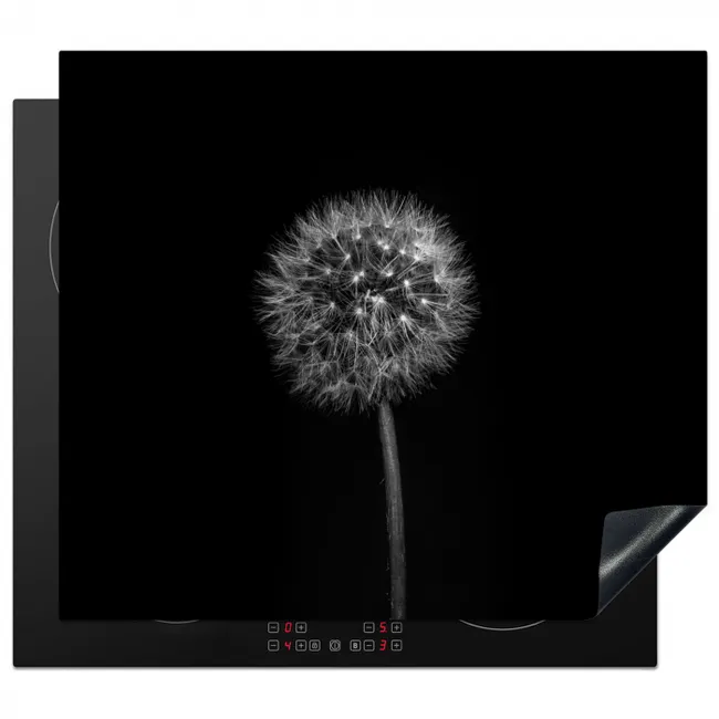 Protection plaque induction - Pissenlit - Noir - Floral - Botanique