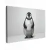 Pinguïn - WC rol - Wit canvas 2cm klein -z3d