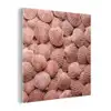 Schelpen - Patroon - Roze plexiglas 5mm klein -z3d