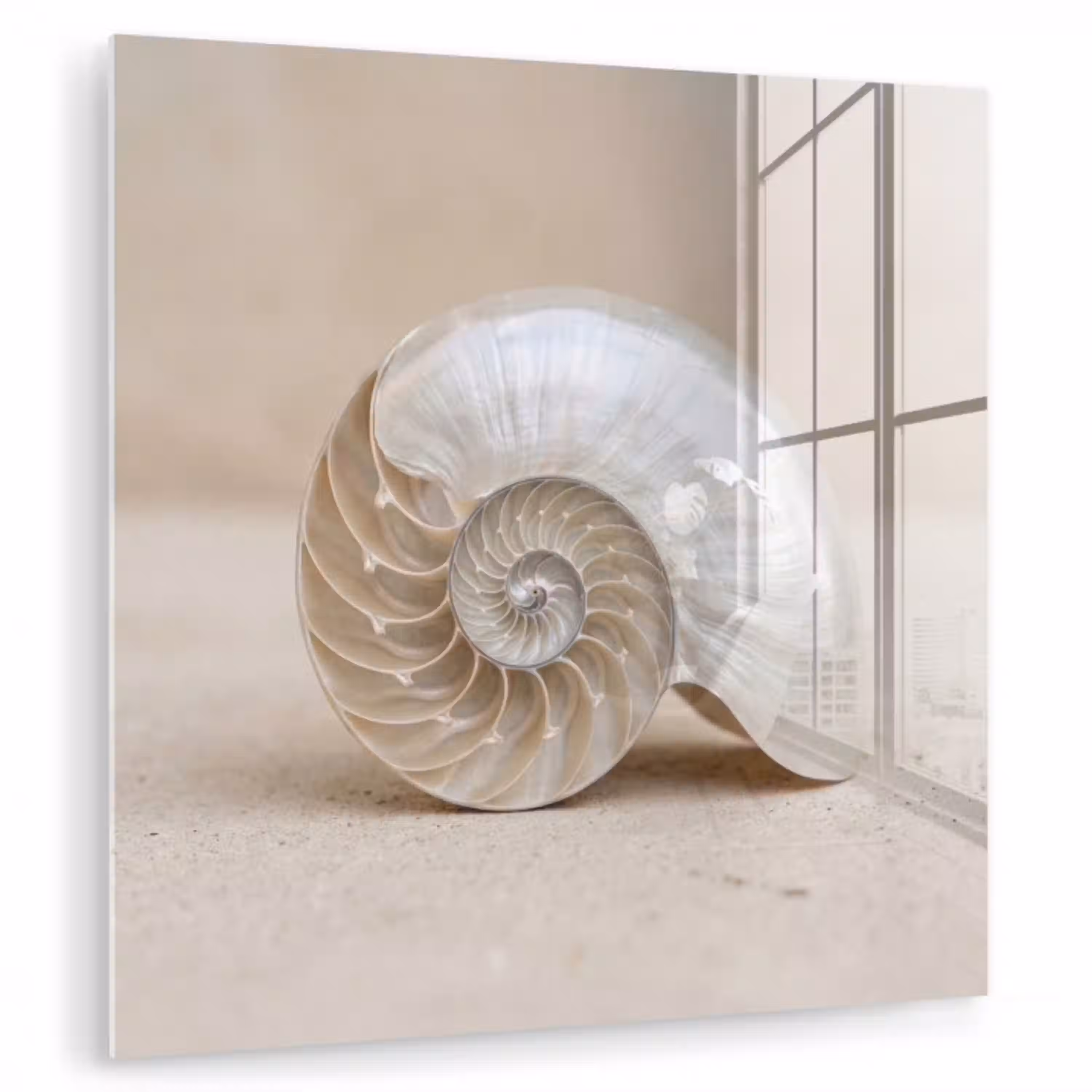 Schelp - Spiraal - Beige plexiglas 5mm klein -zzzproduct_nieuw