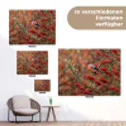 Goudvink - Bessen - Herfst - Natuur - Kleurrijk tuinposter los doek klein -Xsfeer9_DE