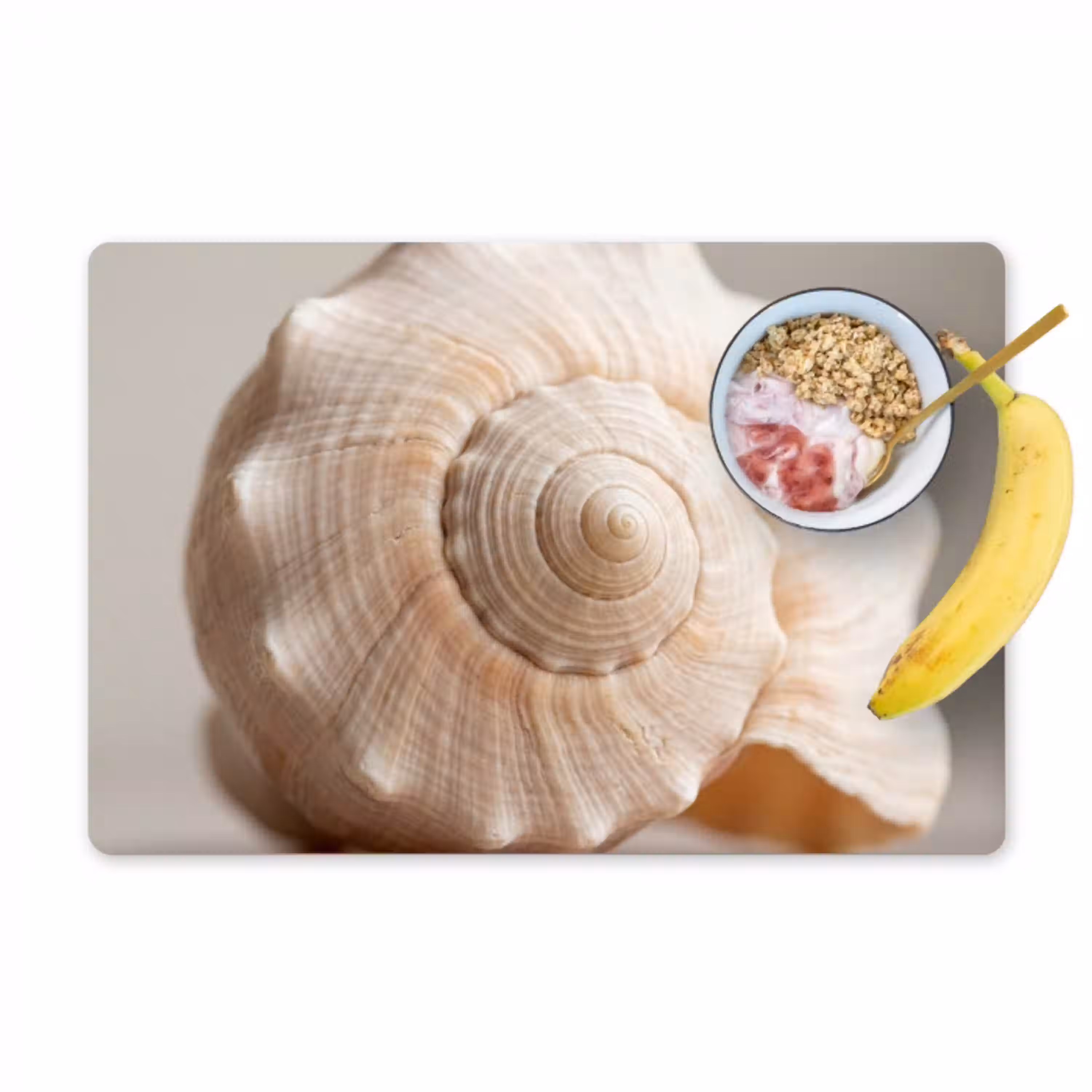 Schelp - Detail - Beige Placemat vinyl groot -zzzproduct_Kitchenyeah-website