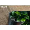Bladeren - Regendruppels - Licht - Groen Placemat vinyl groot -closeup