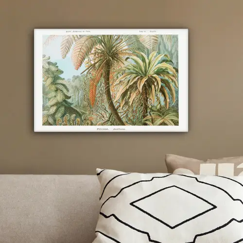 Vintage - Oude meesters - Varens - Planten - Natuur canvas 2cm klein -sfeer3