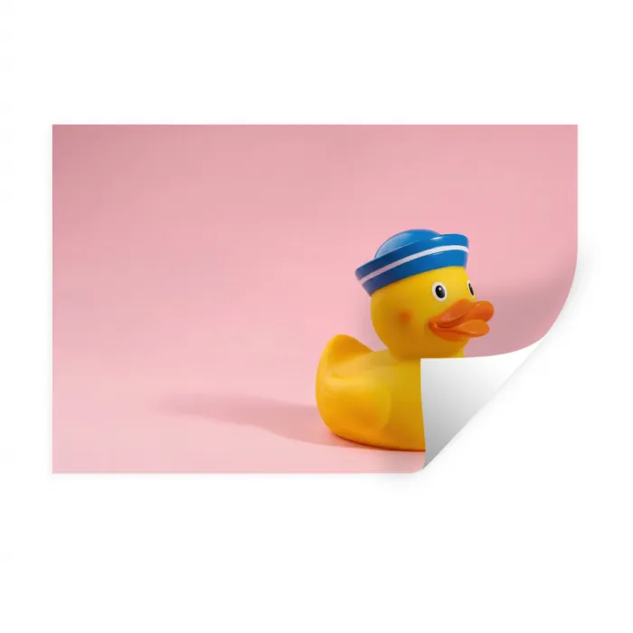 Matroos - Eend - Roze Muursticker klein -3d