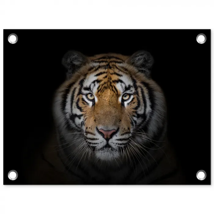 Tijger - Wilde dieren - Portret - Zwart - Dieren tuinposter los doek klein -3d