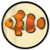 Vis - Oranje - Strepen Fotolijst rond zonder passe partout klein -3d
