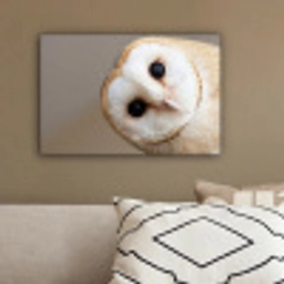 Uil - Bruin - Wit canvas 2cm klein -sfeer3