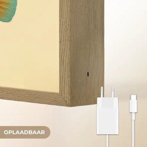 Vis - Blauw - Stippen - Schubben Light Box met batterij (Wandlamp) middel -USP_websiteoplaadbaarNL