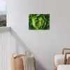 Groente - Sla - Groen tuinposter los doek klein -sfeer8